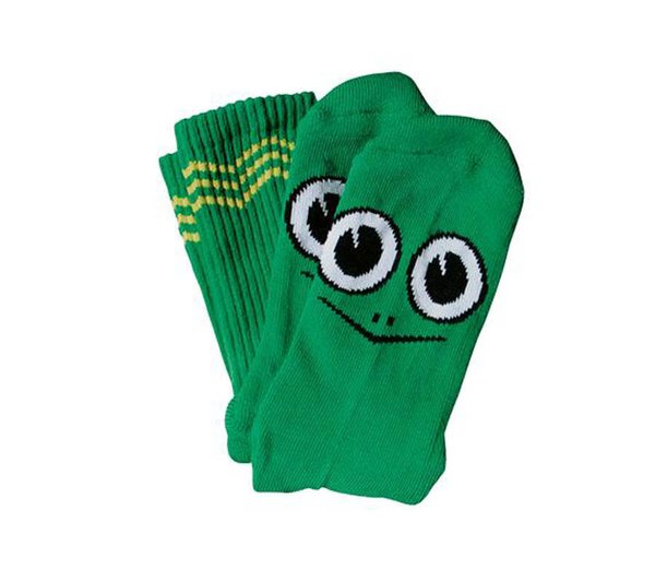 Toy-Machine Turtle Boy Socks