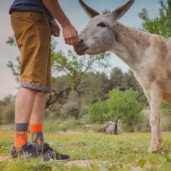 Esel und Karotte Spox Sox Socken