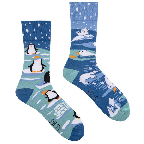 Winter dream Spox Sox Casual Socks