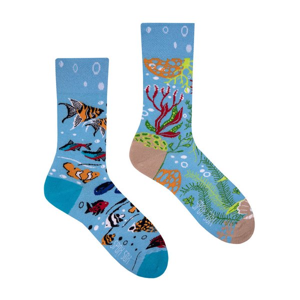 Aquarium Spox Sox Lustige Socken